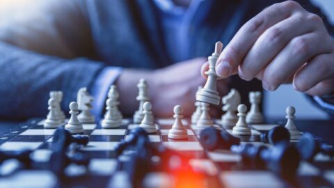 Best 2 Player Board Games: Ark Nova&rsquo;s 2-Player Variant Strategy Guide